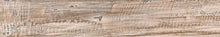 Load image into Gallery viewer, Glazed Porcelain, Decor  - Botanik - Fon - 15 x 90 - 8.95USD/m2