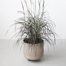 Load image into Gallery viewer, Bowl - Large