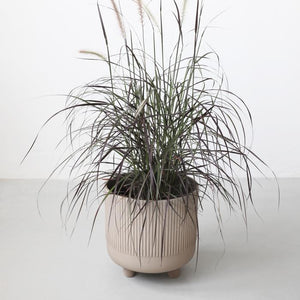 Bowl - Large